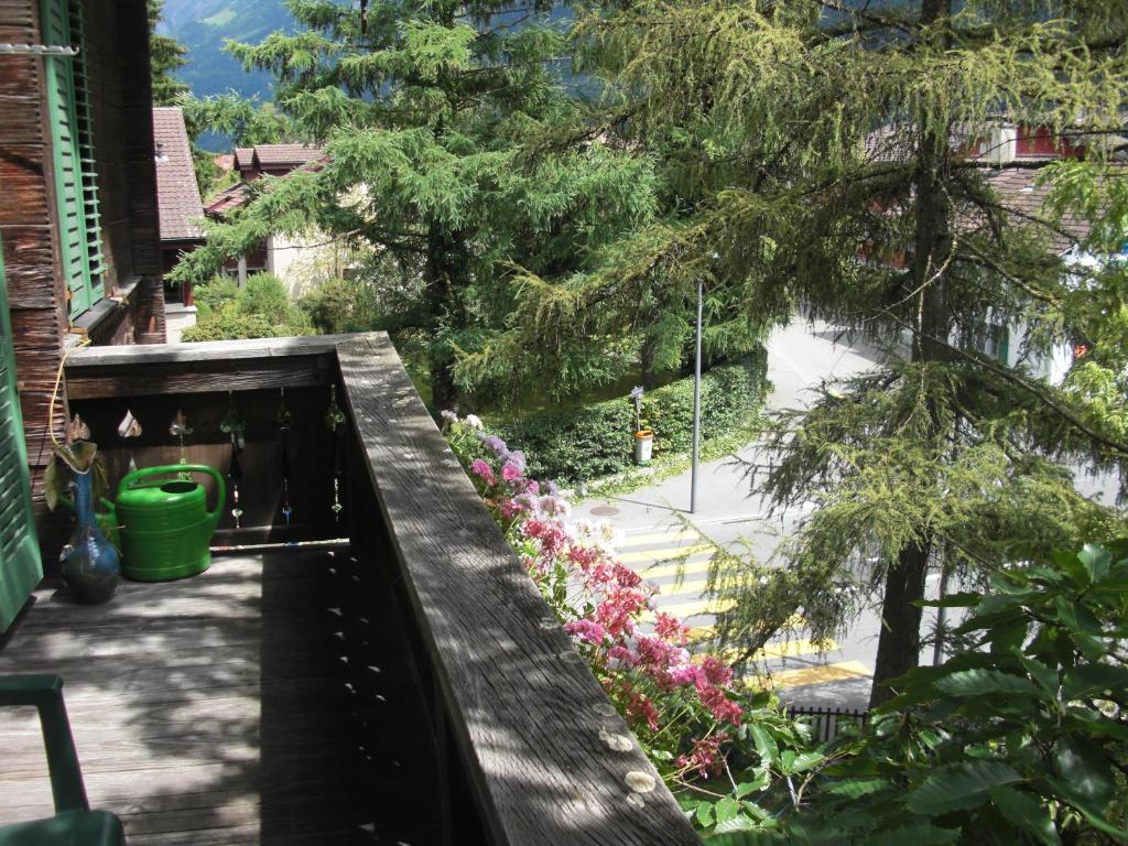 Apartments Dr. Med. Vet. Tempelman Interlaken Zimmer foto